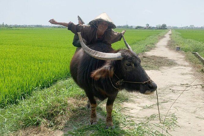 3 Hours Hoi An Countryside Bicycle Tour - Mr. Quy and the small-group feel from pickup to drop-off
