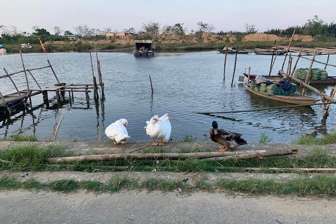 3 Hours Hoi An Countryside Motorbike Tour - The Ride Between Stops: How the Countryside Segment Adds Meaning