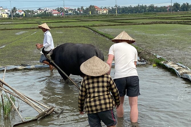 5-Hour Discovery Countryside by Cycling, Buffalo and Basket Boat - Joining the Farmers, Then Meeting the Buffalo (Yes, Really)