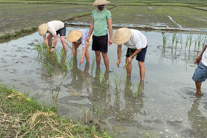 5-Hour Discovery Countryside by Cycling, Buffalo and Basket Boat - Water Palm Coconut Paradise, Fishing Chances, and the Basket Boat Spin