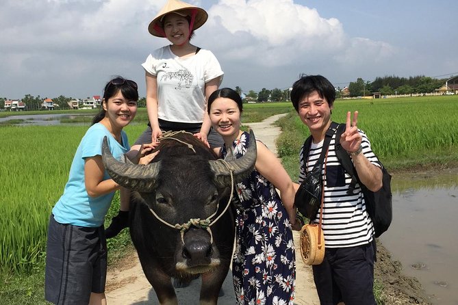 5-Hour Discovery Countryside by Cycling, Buffalo and Basket Boat - Price and Logistics: Is $10 Worth It?