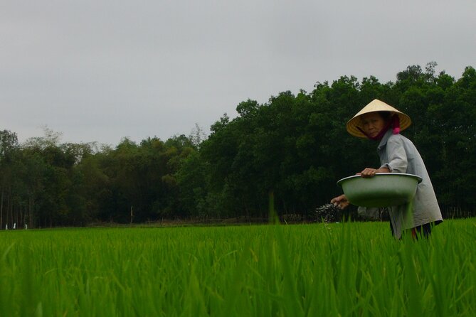 Adventure Bike Tour from Hoi An - Getting out of Hoi An: the minivan + ferry setup