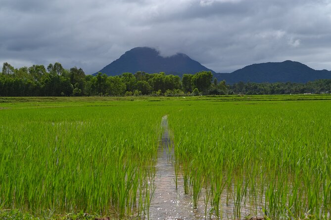 Adventure Bike Tour from Hoi An - Tea at a family home: the moment that makes it feel real