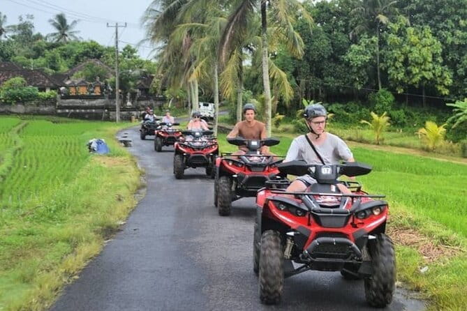ATV Quad Bike Adventure from Hoi An or Danang - Key Highlights You’ll Actually Care About