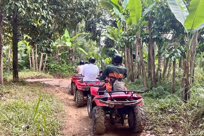 ATV Quad Bike Adventure from Hoi An or Danang - The ATV Ride: winding village tracks, rice fields, jungle trails