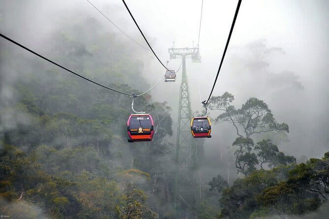 Bana Hills - Golden Hand Bridge Full Day Tour - The 8:00am start from Hoi An: timing, comfort, and how to prepare