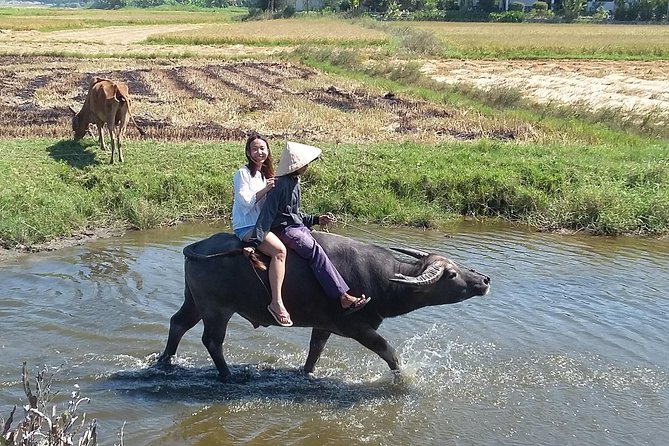 Buffalo riding and Basket Boat Half Day Tour - Snacks, drinks, and lunch in a local home: the menu you should remember