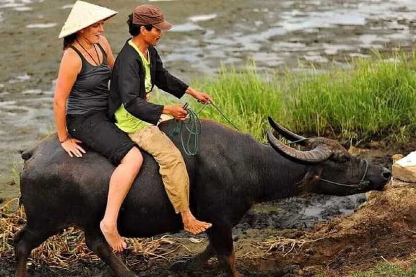 Buffaloe Riding/Ceramic/Cafe/Lantern Class/Basket Boat/Lunch - Buffalo riding in the rice fields: a short route with real context