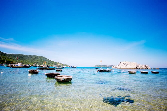 Cham Island Day Tour from Hoi An with Group tour - Price and value: $35 works if you want a guided “water plus sights” day