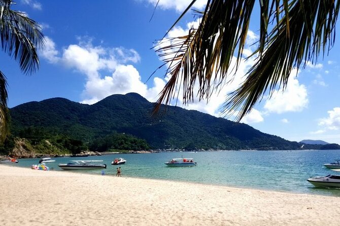 Cham Island Day Tour from Hoi An with Group tour - Who this Cham Island day tour is perfect for (and who should skip it)