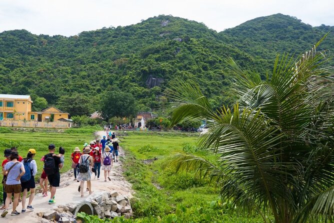 Cham Island Day Tour from Hoi An with Group tour - Morning logistics: 8:00 pickup, Cua Dai Quay, and a capped group size