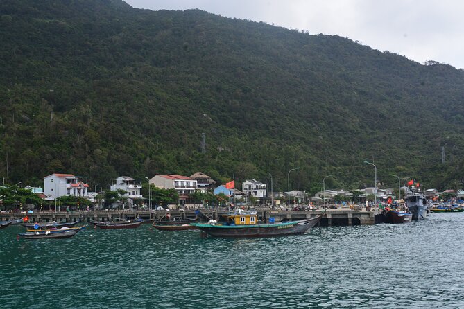Cham Island Day Tour: Speed Boat, Lunch, Snorkeling & Beach - Timing, Group Size, and Getting Back to Hoi An Smoothly