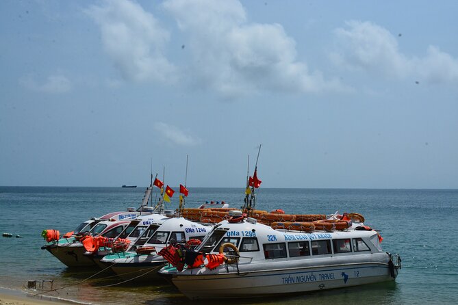 Cham Island Day Tour: Speed Boat, Lunch, Snorkeling & Beach - Should You Book the Cham Island Day Tour?