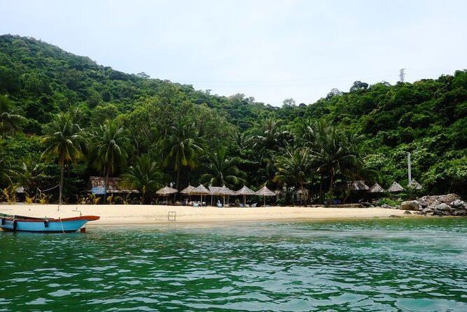 Cham Island Exploration Tour and Swimming with Local Guide - Is this Cham Island tour good value for $33?