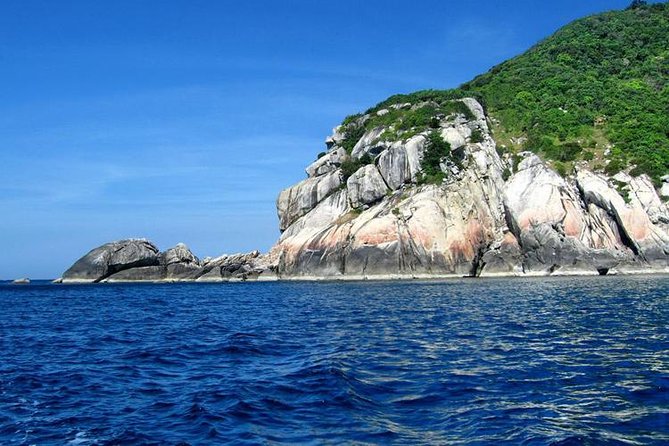 Cham Island Tour Snorkeling -Sunbathing - Nice Beach - Speedboat - Who should book this Cham Island tour
