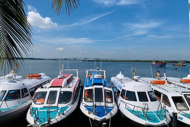 Cham Island Trip by Speed Boat including Snorkeling from Hoi An or Da Nang - Key Things I’d Note Before You Go