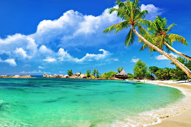 Cham Island Trip by Speed Boat including Snorkeling from Hoi An or Da Nang - Price and Value: Is $44.88 a Fair Deal?