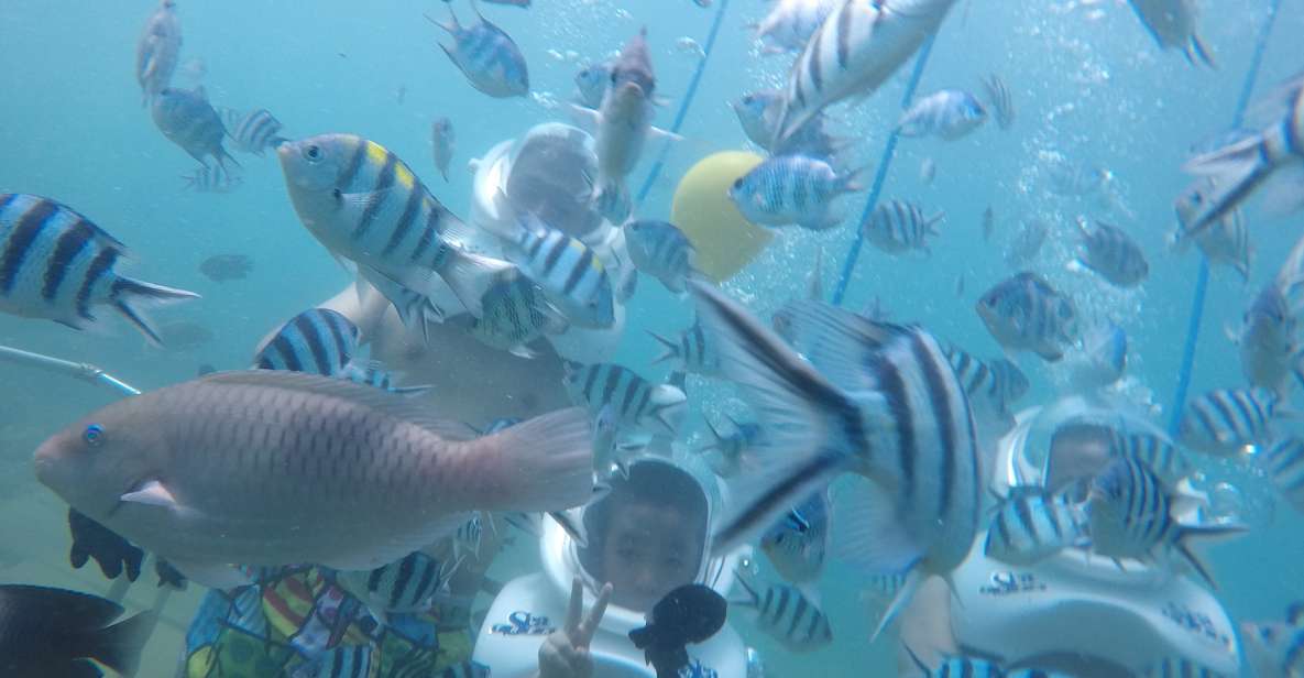Cham Island: Underwater Walking & Snorkeling Tour - Cham Island underwater walking: the value in seeing sea life up close