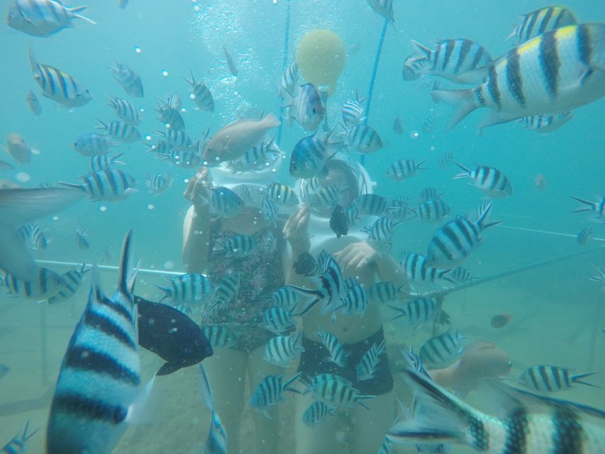 Cham Island: Underwater Walking & Snorkeling Tour - Snorkeling and reef time: how to make it rewarding