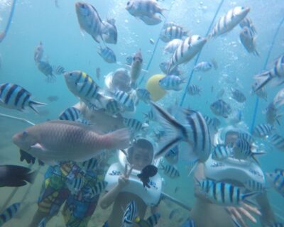 Cham Island: Underwater Walking & Snorkeling Tour - From Hoi An to Cua Dai Wharf: the ride that sets the mood