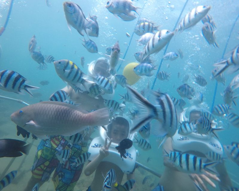 Cham Island: Underwater Walking & Snorkeling Tour - From Hoi An to Cua Dai Wharf: the ride that sets the mood