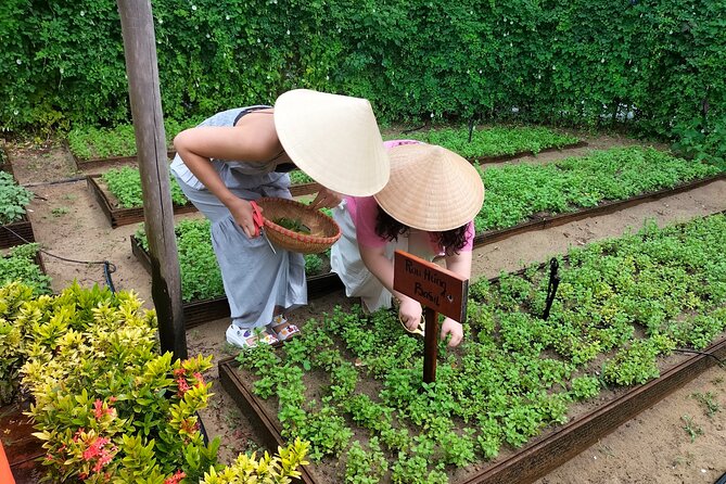 Cooking Class Hoi An - Organic Garden - Farming Tour-Handicrafts - Timing and what a 3–4 hour class really means