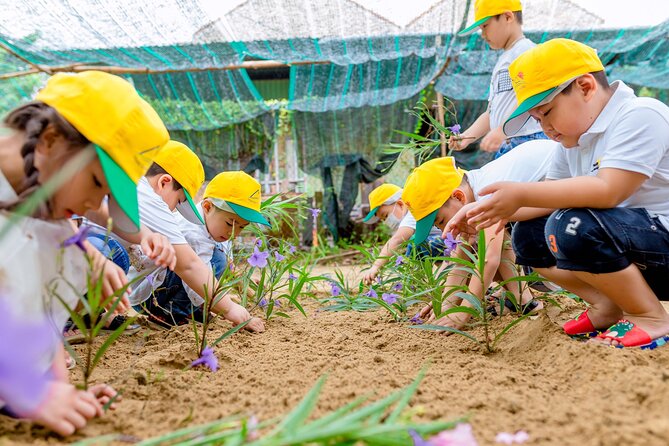 Cooking Class Hoi An - Organic Garden - Farming Tour-Handicrafts - Where you meet and how to plan your approach