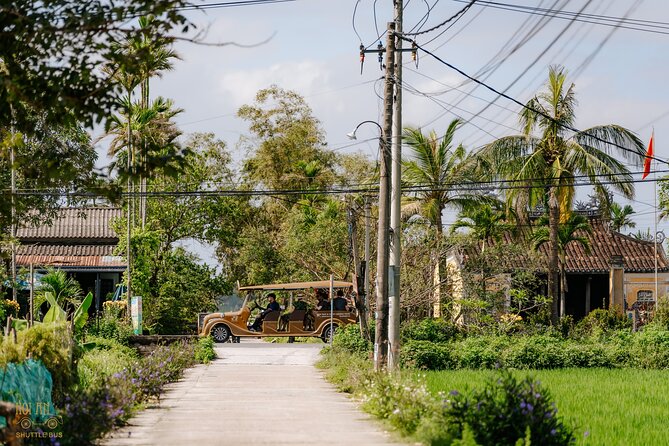 Countryside Adventure Private Tour by Electric Car - Local Neighborhoods, Rice Fields, and Temples