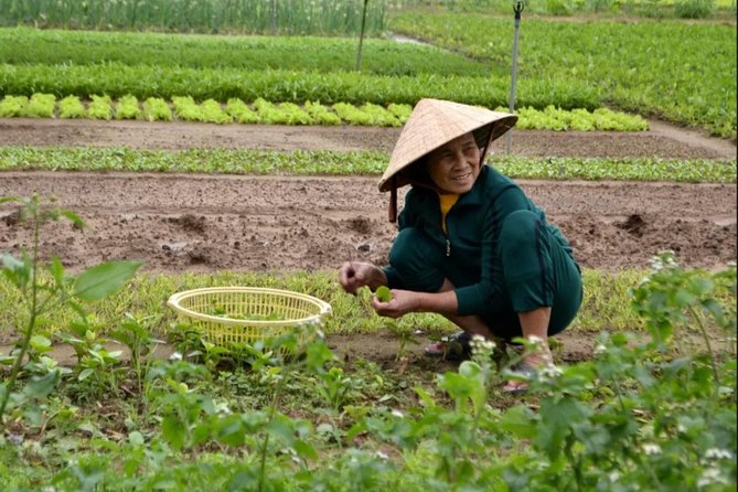 Countryside and Villages Tour By Motorbike - Stop 2: Thanh Ha Pottery Village and How the Kilns Work