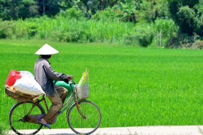 Countryside Bicycle Tour from Hoi An - All Inclusive - The Ride Into Rice Fields, Coconut Villages, and Thu Bon Views