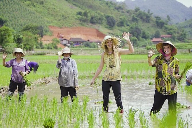 Countryside Bicycle Tour from Hoi An - All Inclusive - Price and Value: What $29.90 Really Buys You