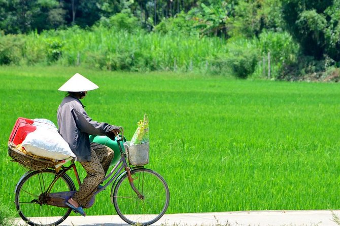 Countryside Bicycle Tour from Hoi An - All Inclusive - The Ride Into Rice Fields, Coconut Villages, and Thu Bon Views