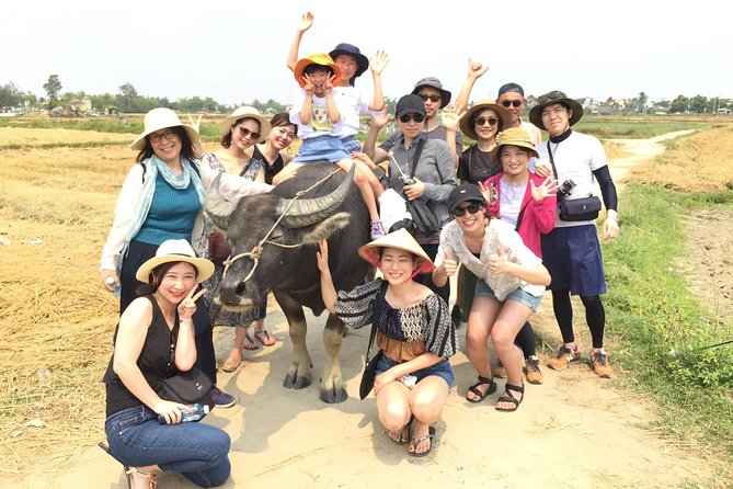 Cycling, Buffalo, Basket Boat ride in Hoi An - Rice paddies and working fields: planting baby rice with farmers
