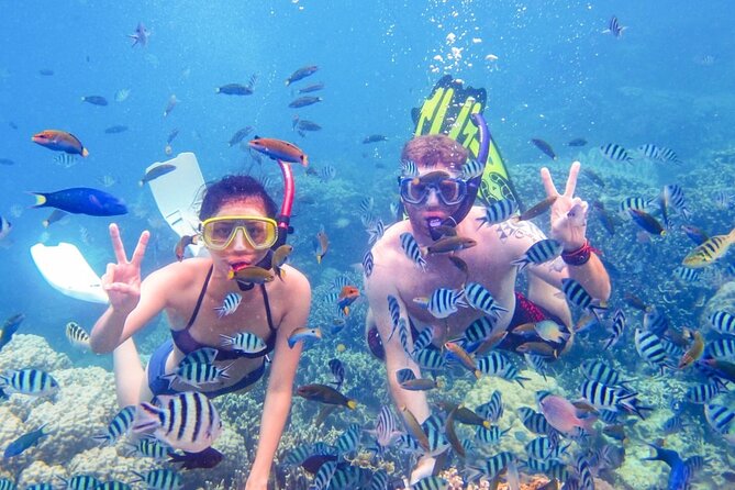 Da Nang/Hoi An: Cham Island Snorkeling, Sunbathing, Nice Beaches - Getting There: Cua Dai Harbor Pickup and Boat Timing