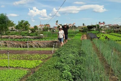 Explore Hoi An Village Island - Riding the countryside back roads in a vintage army jeep