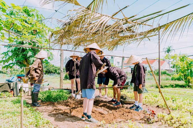 Farming & Cooking Class in Hoi An - Small Group Tour - The cooking class: learning technique with papaya salad, banh xeo, spring rolls, fish in clay pot