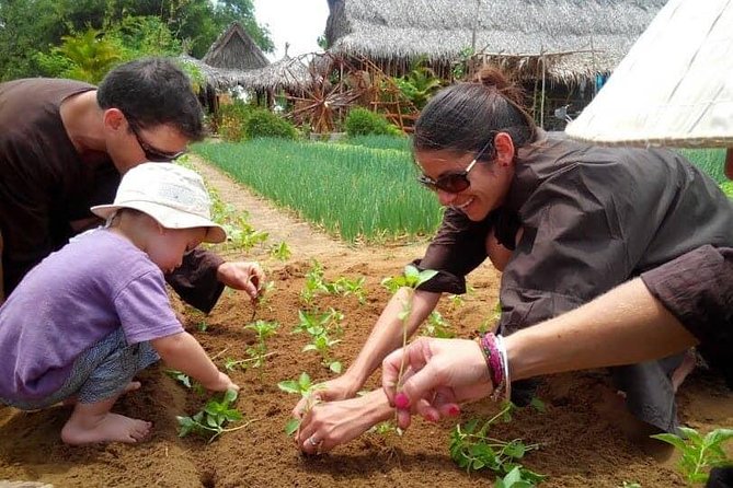 Farming with the Local Famers - Pickup, small group size, and timing from Hoi An