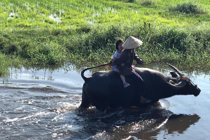 From AUTHENTIC FARMER'S LIFE to ECO RIVER FISHING EXPERIENCE - Tra Que Vegetable Village: biking through working farmland