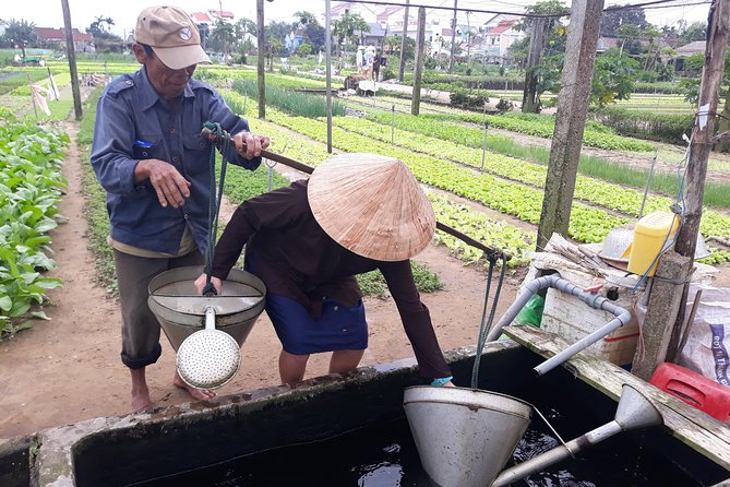 From AUTHENTIC FARMER'S LIFE to ECO RIVER FISHING EXPERIENCE - Organic vegetable gardens at Tra Que: herbs, mint, and real growing work
