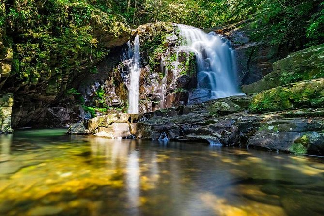 Full day: Hoi An - Bach Ma National Park - Hai Van Pass or Hai Van Tunnel: your early transfer with real scenery