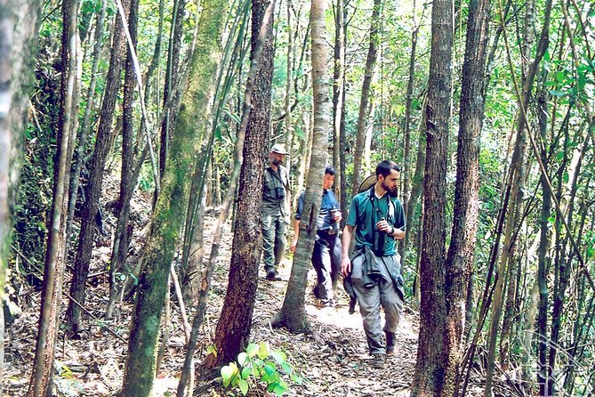 Full day: Hoi An - Bach Ma National Park - Door-to-door transport and the small-group cap: comfort meets control