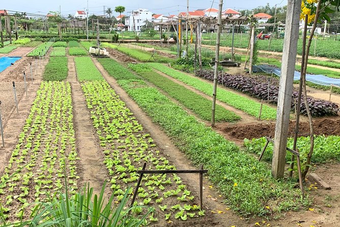 Full Experience Tour: Cooking Class & Basket Boat at Eco-Village - Key highlights you’ll actually remember