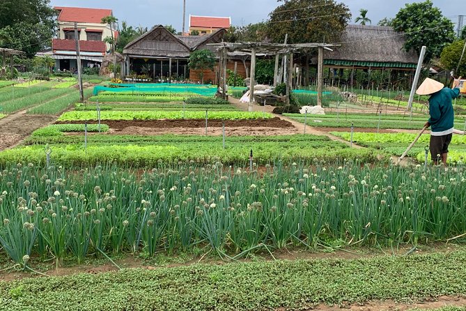 Full Experience Tour: Cooking Class & Basket Boat at Eco-Village - Cooking Class With the Hoang Family: Skills, Not Just Recipes