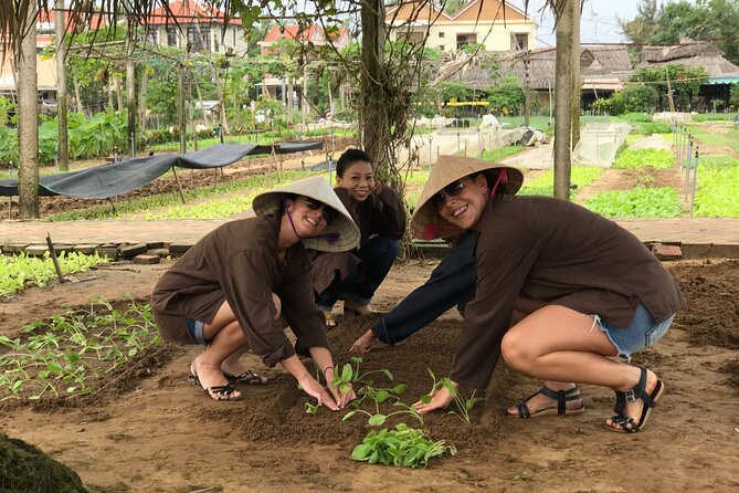 Gardening at Tra Que Vegetable Village and cooking class - Buffalo-back grassland ride: silly photos, real memories