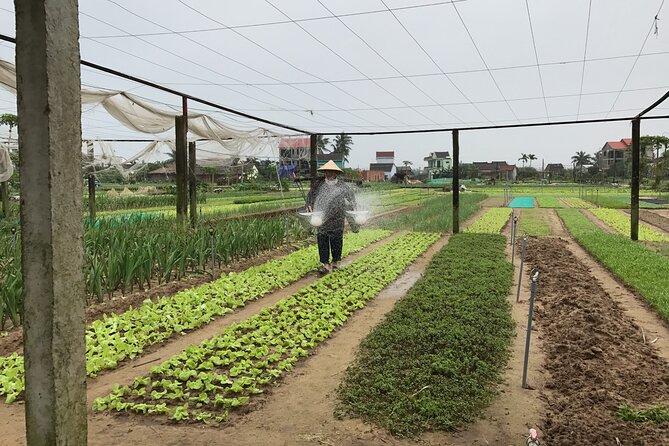 Gardening at Tra Que Vegetable Village and cooking class - The cooking class that actually teaches: tam huu and banh xeo