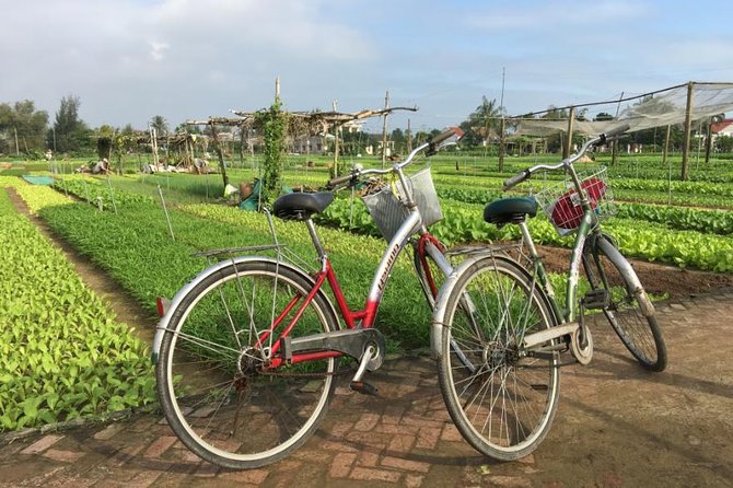 Half Day Cooking Class At Tra Que Vegetable Village Hoi An - Ba Le Market by Bicycle: Where You Learn to Pick Produce and Bargain
