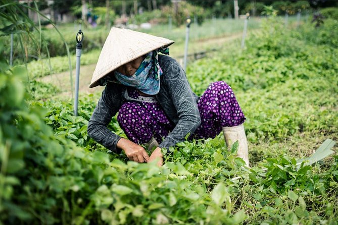 Half Day Cooking Class At Tra Que Vegetable Village Hoi An - The Lunch You Make: Why This Meal Feels Like the Point