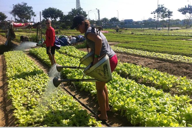 Half Day Cooking Class At Tra Que Vegetable Village Hoi An - Timing Tips: Morning vs Afternoon in Hoi An
