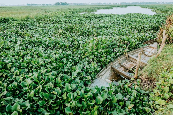 Half-day Hoi An Sunrise Or Sunset Photo Tour - Photographer Guidance That Makes Your Photos Look Planned