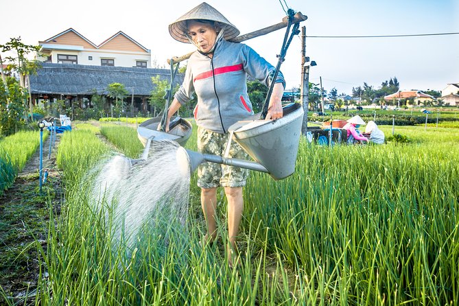 Half-day Hoi An Sunrise Or Sunset Photo Tour - Sunset Golden Hour at Tra Que: Vegetable Village, Farmers in the Fields, and a Thu Bon River Boat Trip